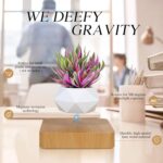 ⁦Levitating Air Bonsai Pot. Rotation Flower Pot Planters. Magnetic Levitation Suspension Floating Pot. Potted Plant Home Desk Decor in Flower Pots & Planters from Home & Garden on (Light Color)⁩ - الصورة ⁦3⁩